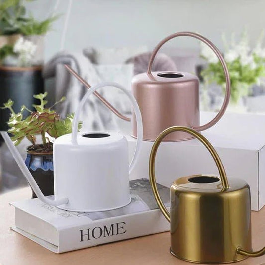 Arrosoir d'Intérieur - Finition Metallique Moderne – Bec Long et Fin - Maison Princesse