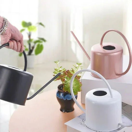 Arrosoir d'Intérieur - Finition Metallique Moderne – Bec Long et Fin - Maison Princesse