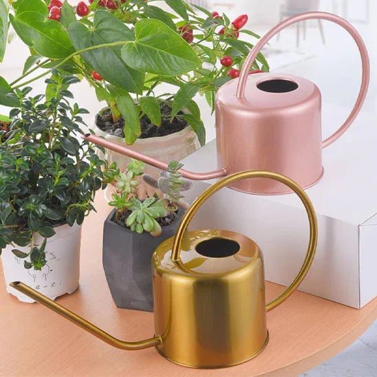 Arrosoir d'Intérieur - Finition Metallique Moderne – Bec Long et Fin - Maison Princesse